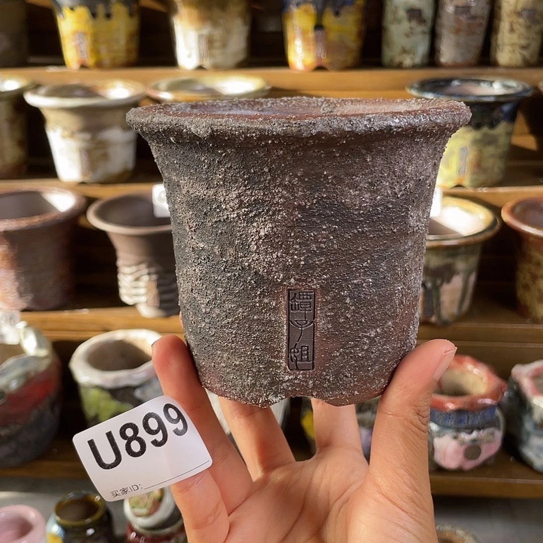 球盆 块根盆 内口9.5 百搭
