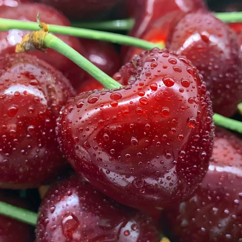 山东车厘子美早2J顺丰京东随机2/3斤新鲜内附果径卡内附果径卡