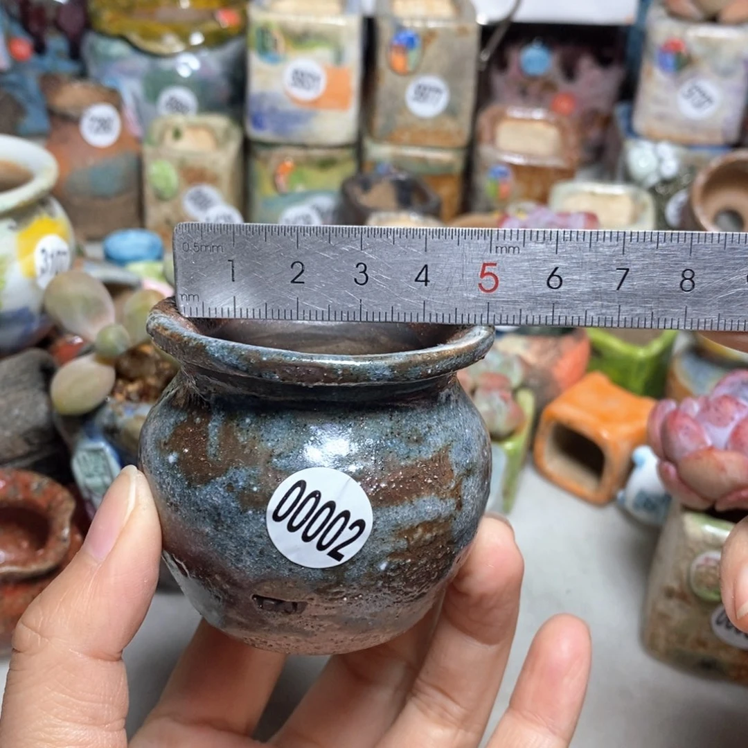 拍5送一个小礼物