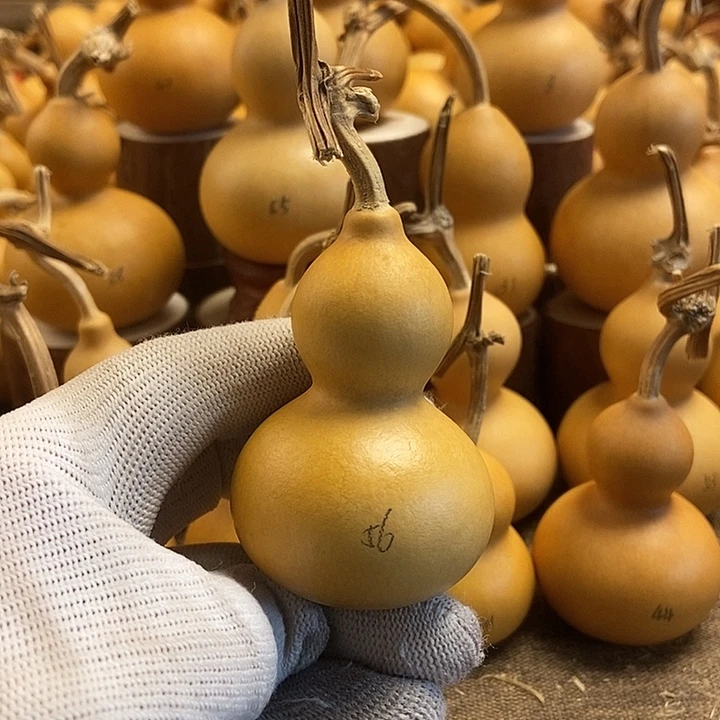 文玩葫芦 完美主义者 慎拍56