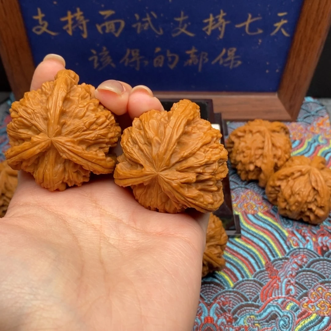 【闪购商品】玖*柒白狮