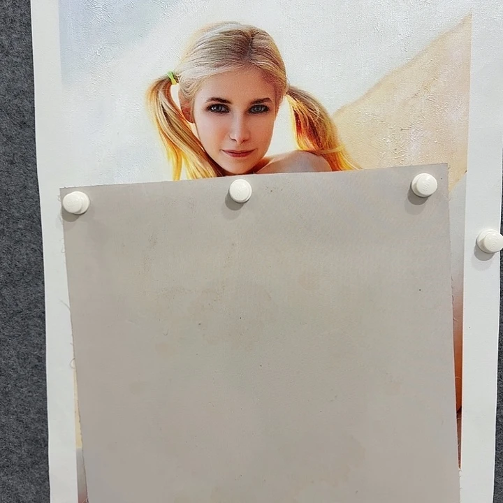 金寨画作欣赏作品