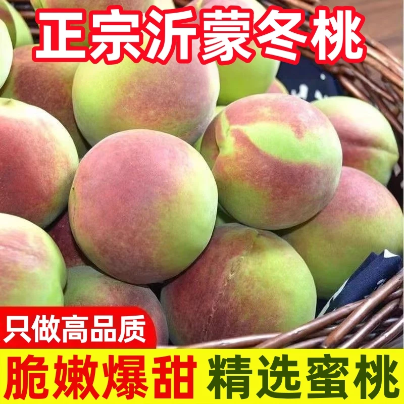 现摘沂蒙山冬桃蜜桃新鲜多汁脆甜核小产地直发当季水果包邮