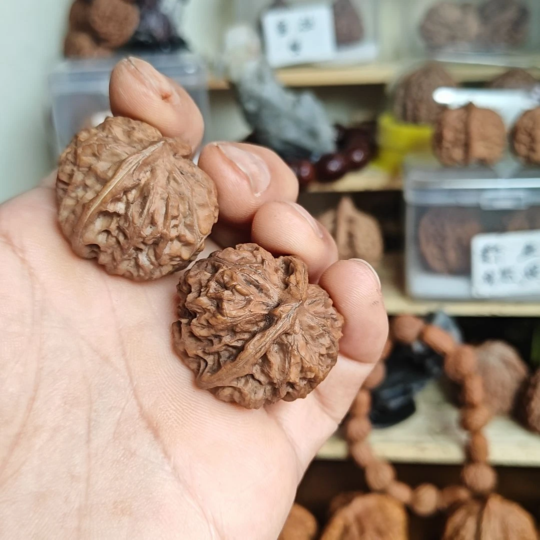 不知名异形，子母队