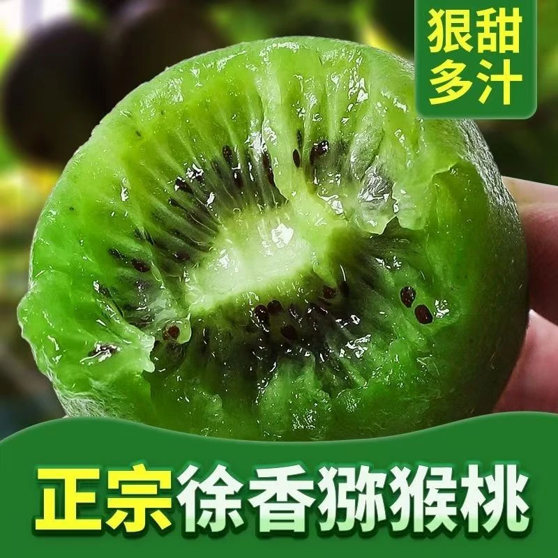 【正宗】徐香绿心猕猴桃奇异果现摘现发宝宝孕妇新鲜水果26枚包邮