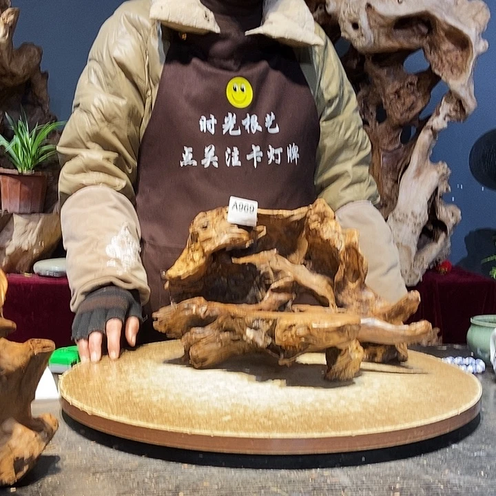 薄*969。株木随行小根艺