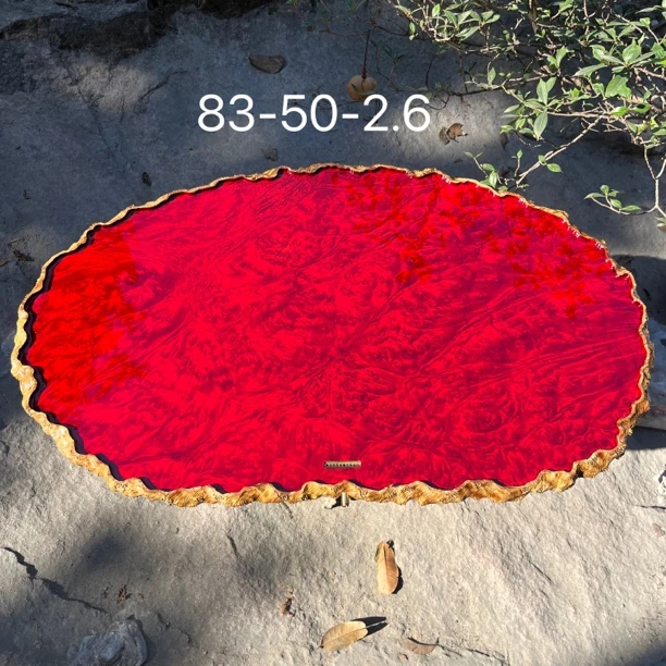 83-58-2.6黄金樟茶盘干泡托盘壶承高端整块原木树根满榴花
