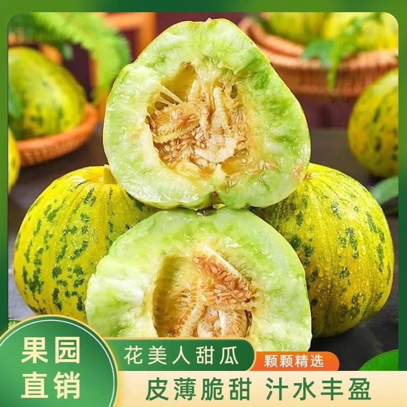 正宗山东头茬八里香甜瓜脆甜多汁薄皮花美人甜瓜新鲜采摘应季水果