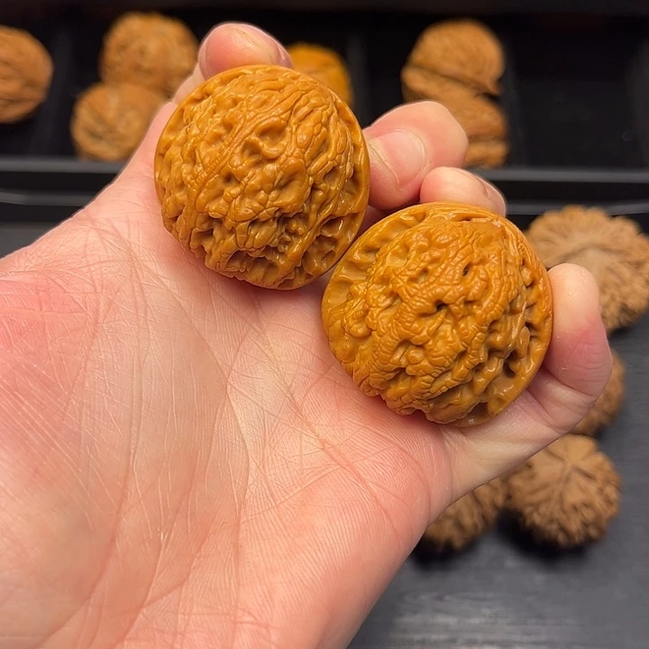 核桃秦岭突突突突突突突突