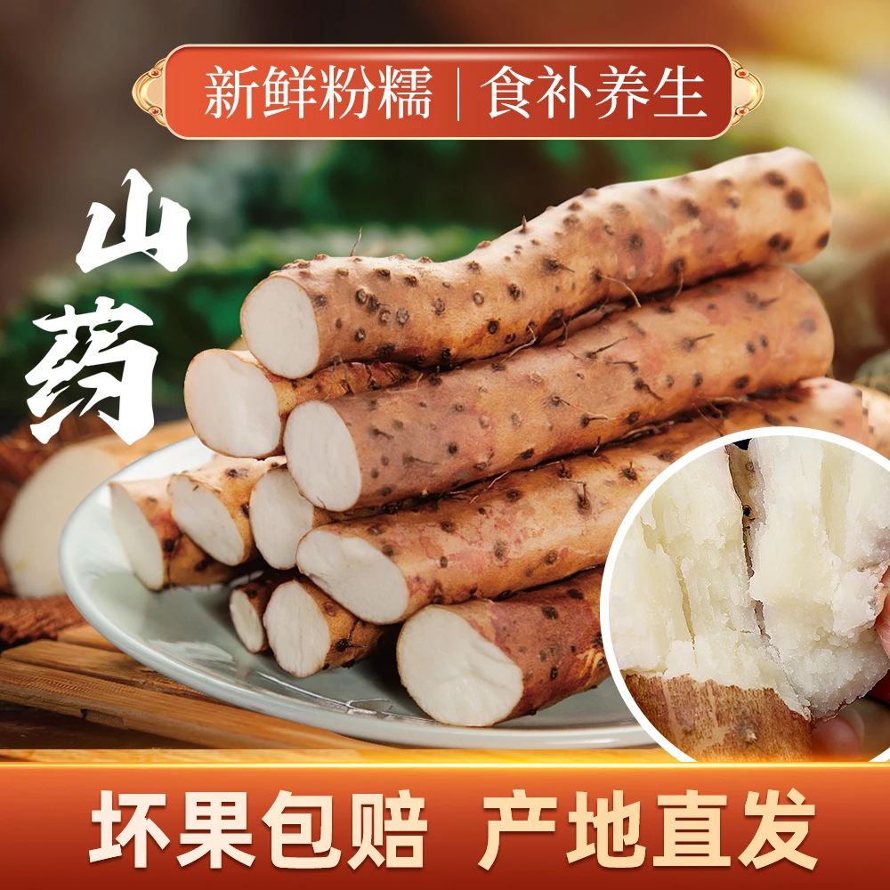 河南温县新鲜正宗温县铁棍山药淮山药采挖营养果产地现发焦作滋补