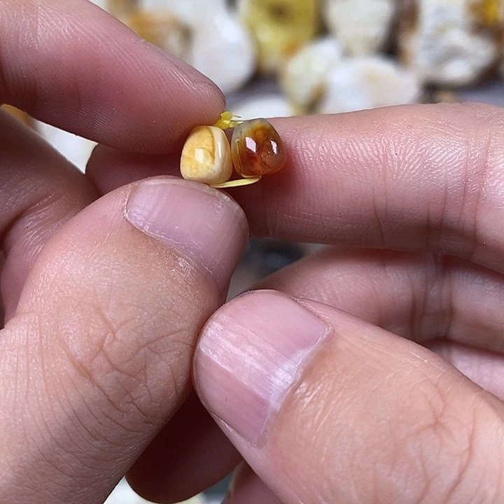 未镶嵌琥珀裸石我