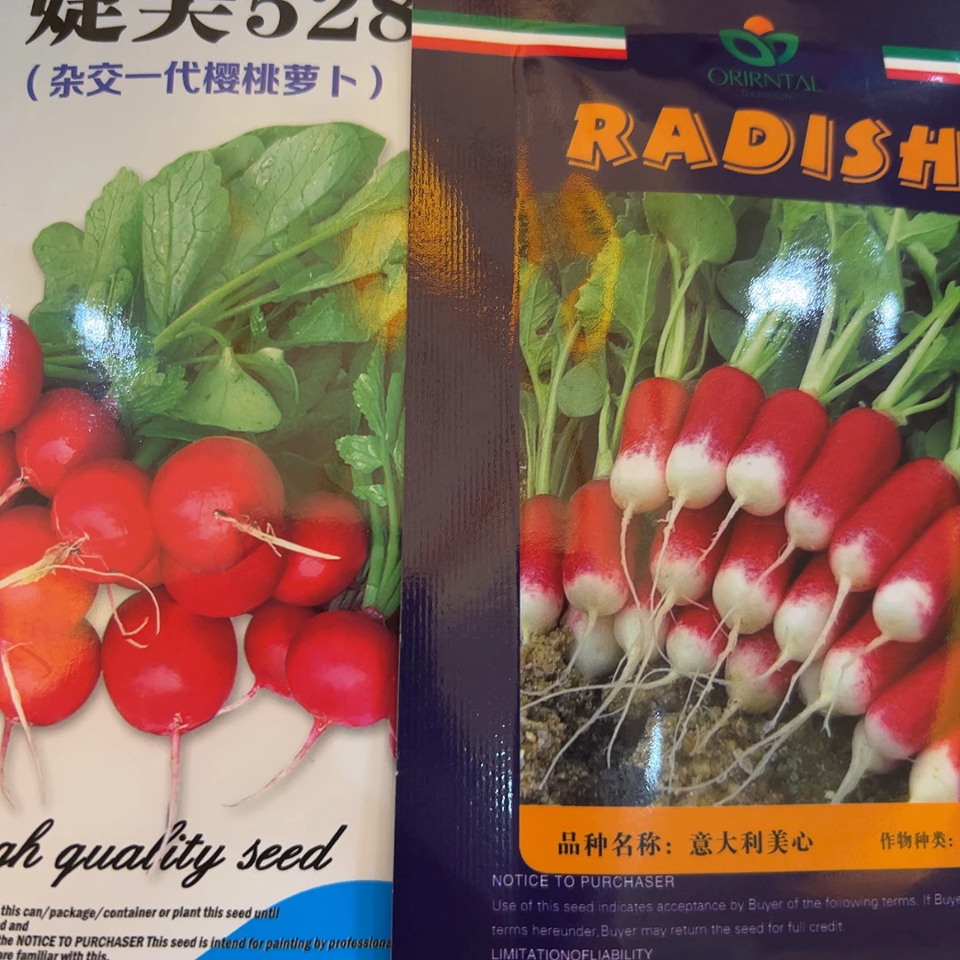 意大利美心，捷美红丁萝卜种子