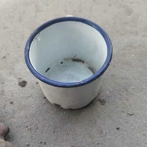 鲁***）品相如图所示看好了下单