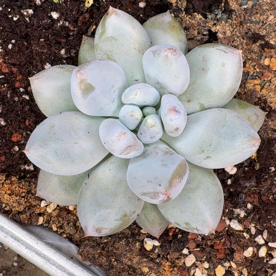 啊啊啊啊啊啊啊啊啊啊