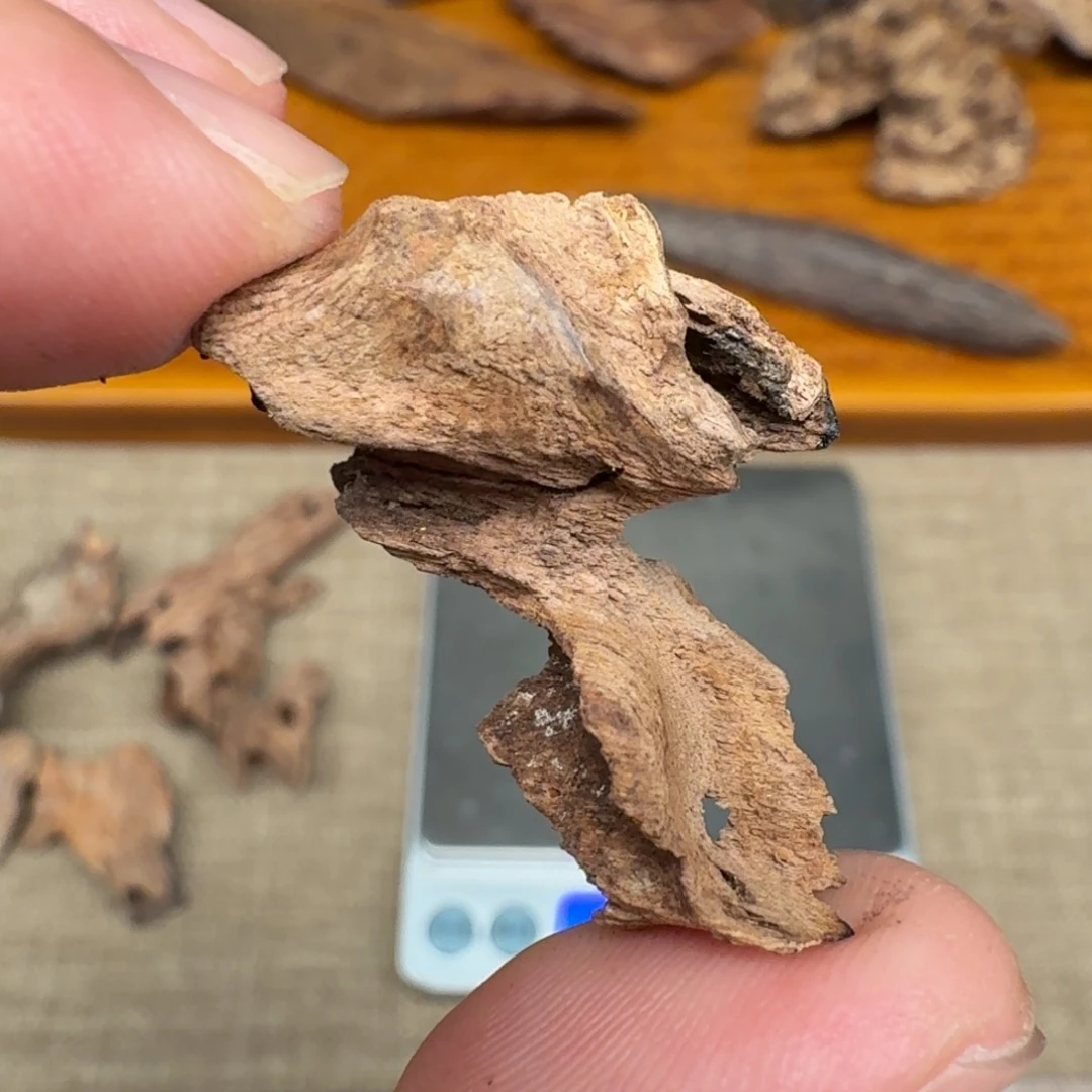 沉香海南死鸡仔沉香