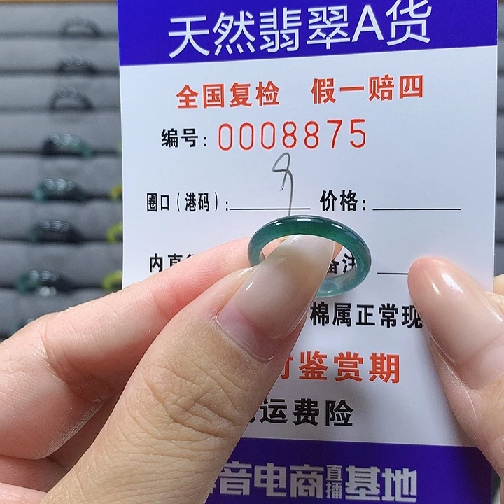 -***-未镶嵌戒圈翡翠8875