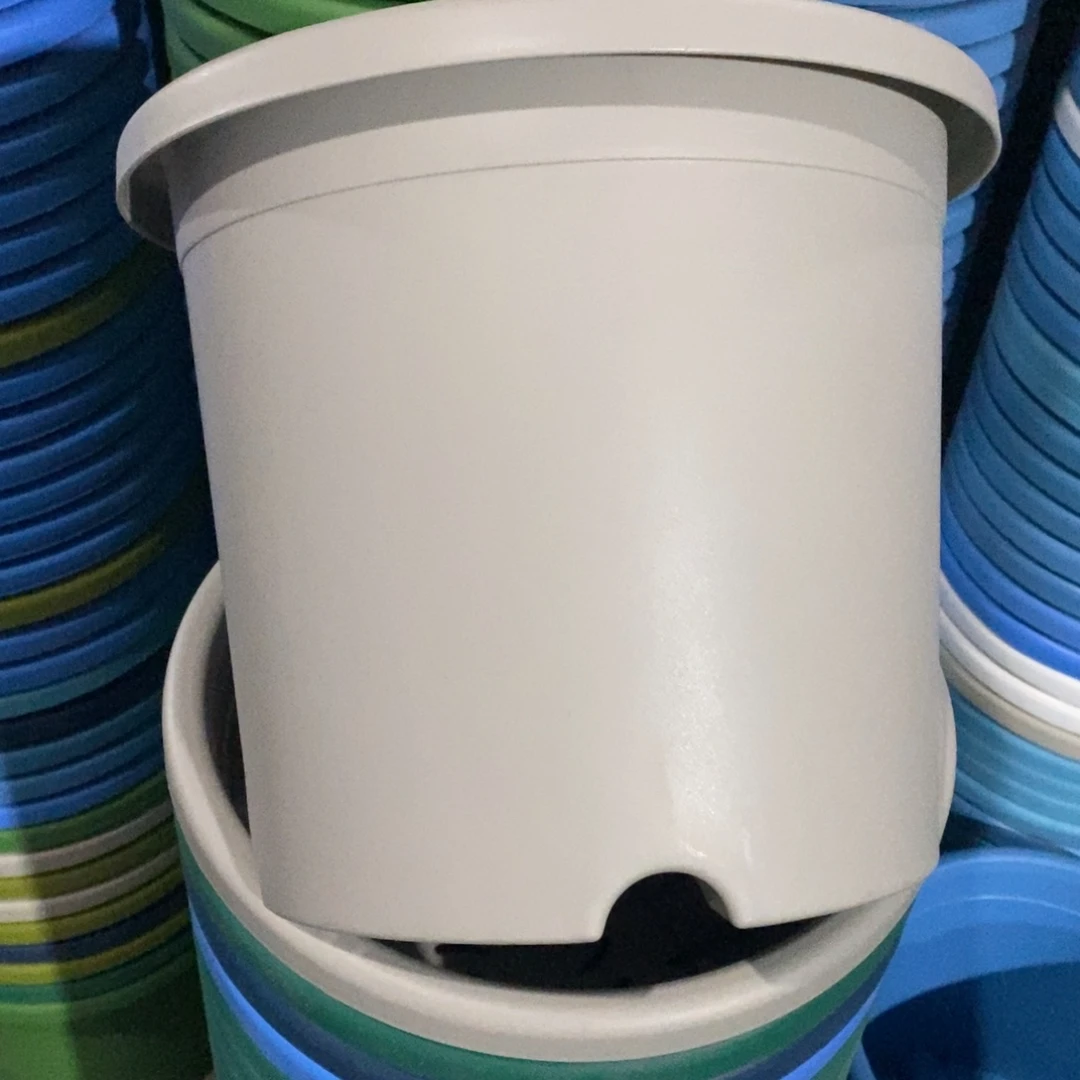 树脂特价5#无拖灰白6个