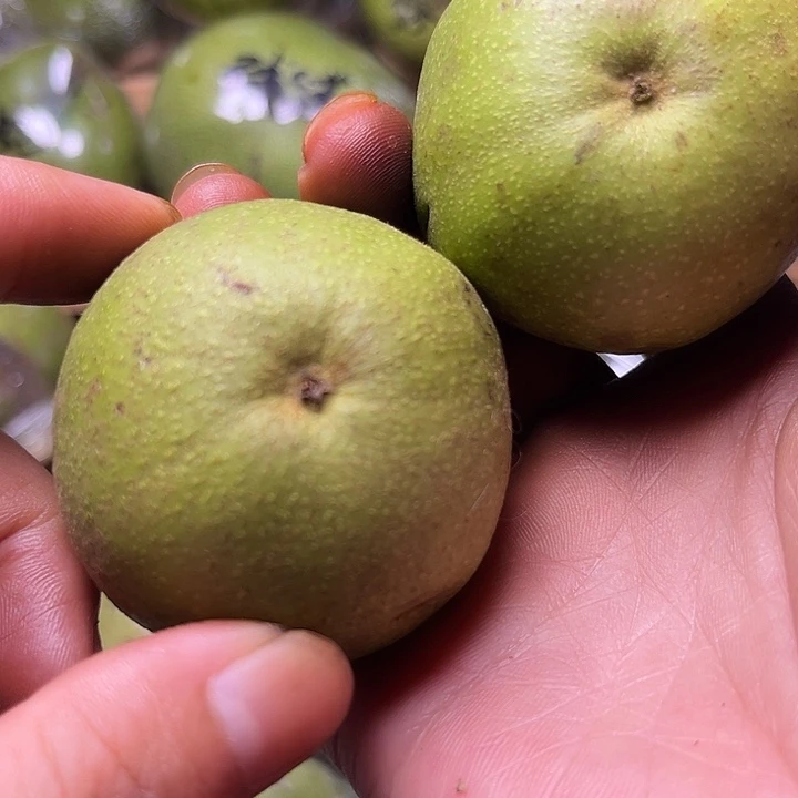 手串/手链核桃福利