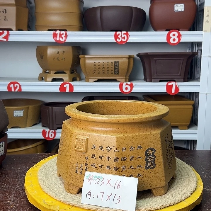 花盆紫砂你在一起