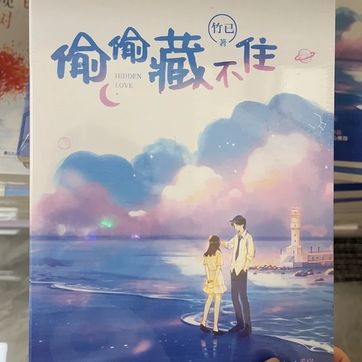 偷偷藏不住  平装带塑封