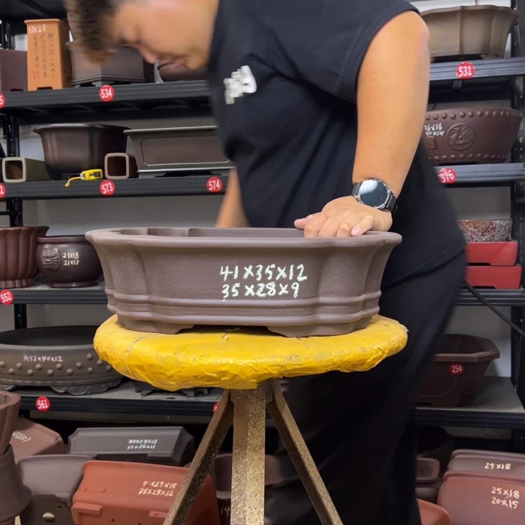 紫砂花盆呜呜呜呜呜我的