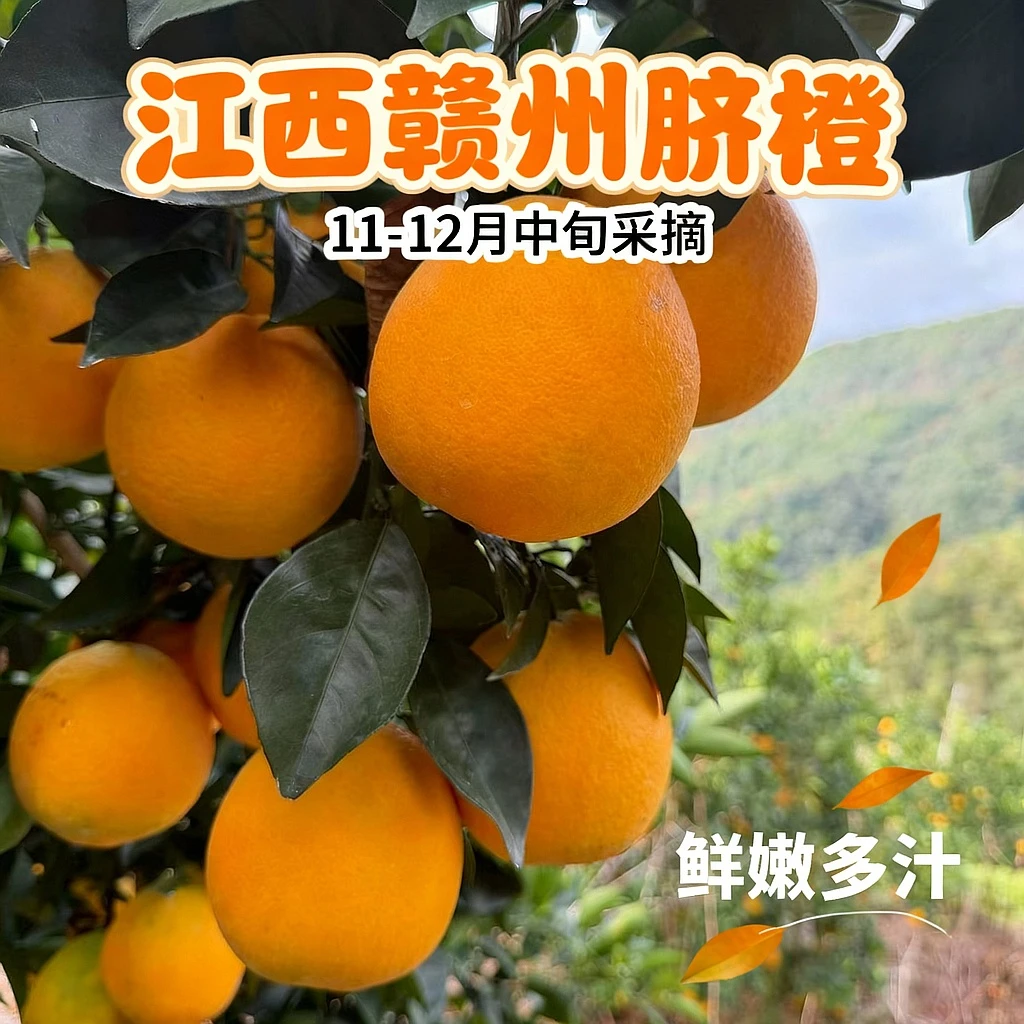 【顺丰产地直发】正宗赣南脐橙核心产区孕妇当季新鲜橙子5斤-10斤