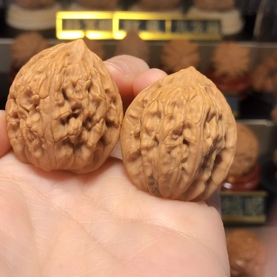 特价：龙凤粗筋手捻32尺