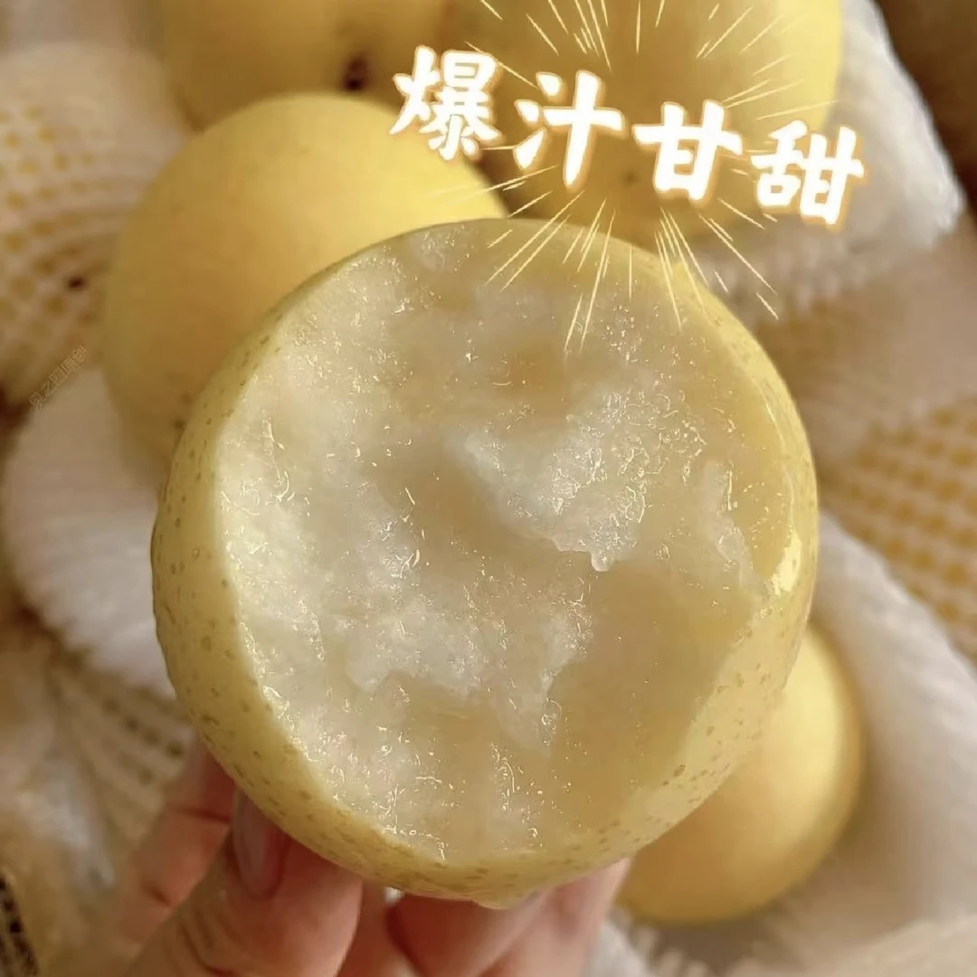 河北皇冠梨3个装1000克左右