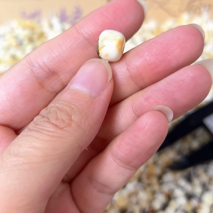 裸石蜜蜡未镶嵌10.1mm一个