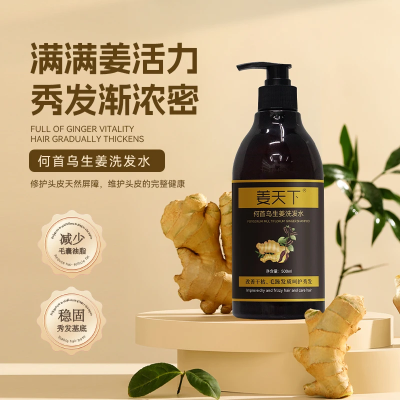 姜天下生姜何首乌洗发水500ml/瓶拍一发二泡沫清爽养发固发滋养