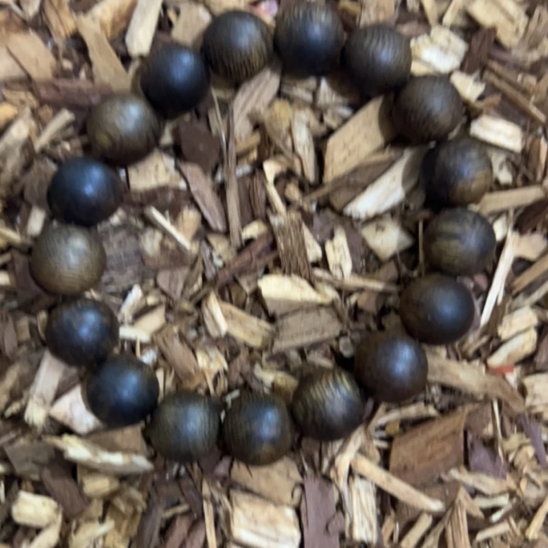 沉香65 福来精选高端文玩12mm