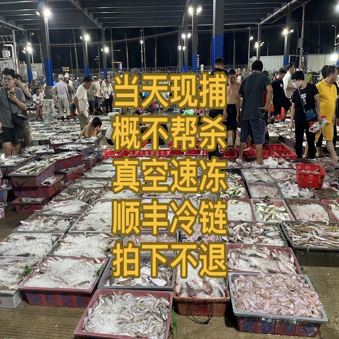 惠来县神泉港码头小竹排鱼货广东包邮
