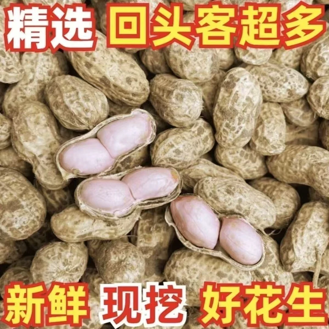 2025年头茬新鲜现挖带壳湿花生农家自种可水煮粉皮花生