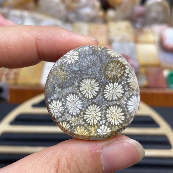 硅化玉未镶嵌颈饰k41