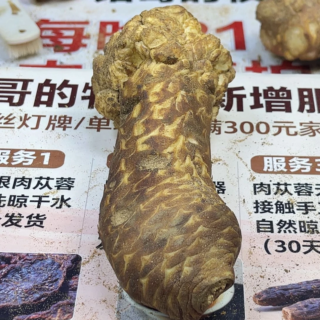 中国大陆455克老根