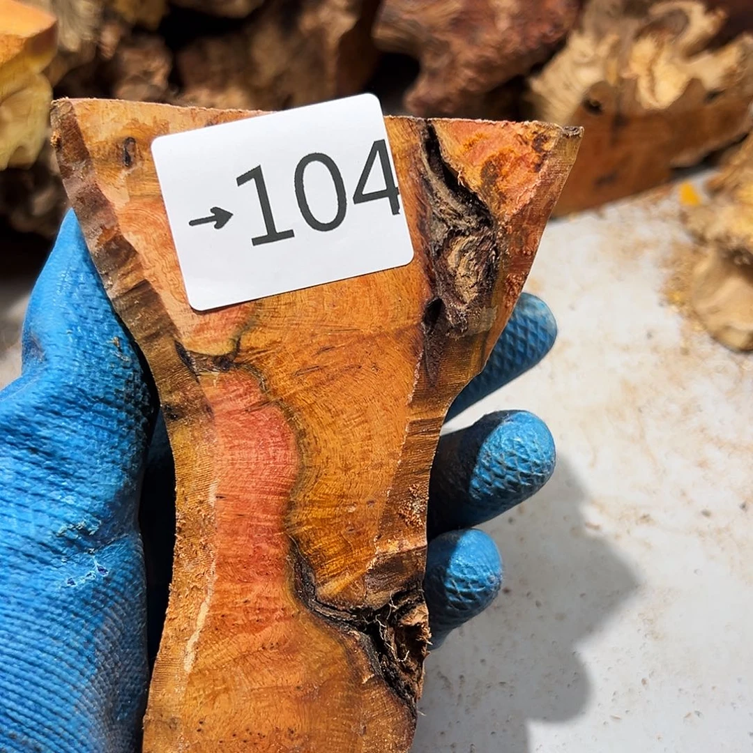 香榧木秃*火琉璃……火琉璃