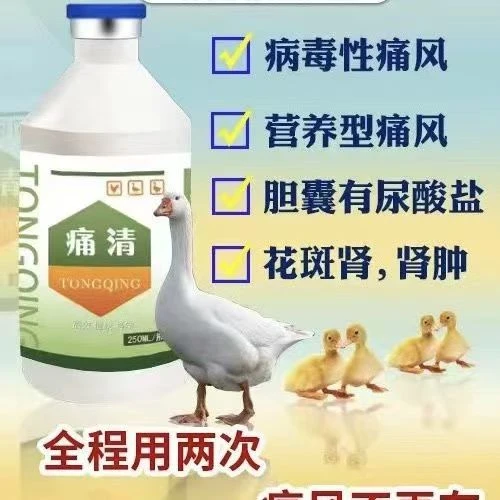 小鹅痛风专用一瓶管1500只防2天治加量3天