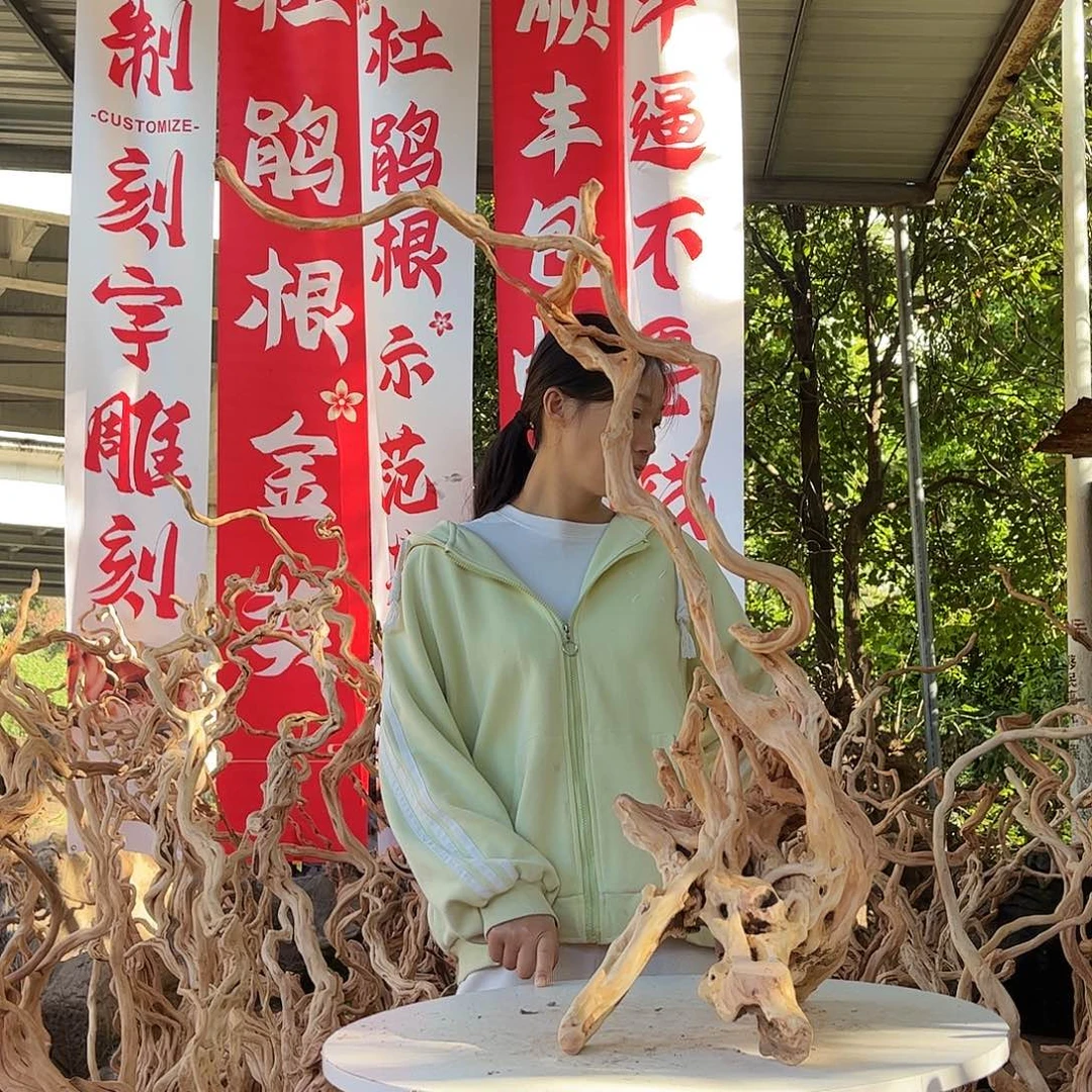 南***衣木我们的生活方式是什么