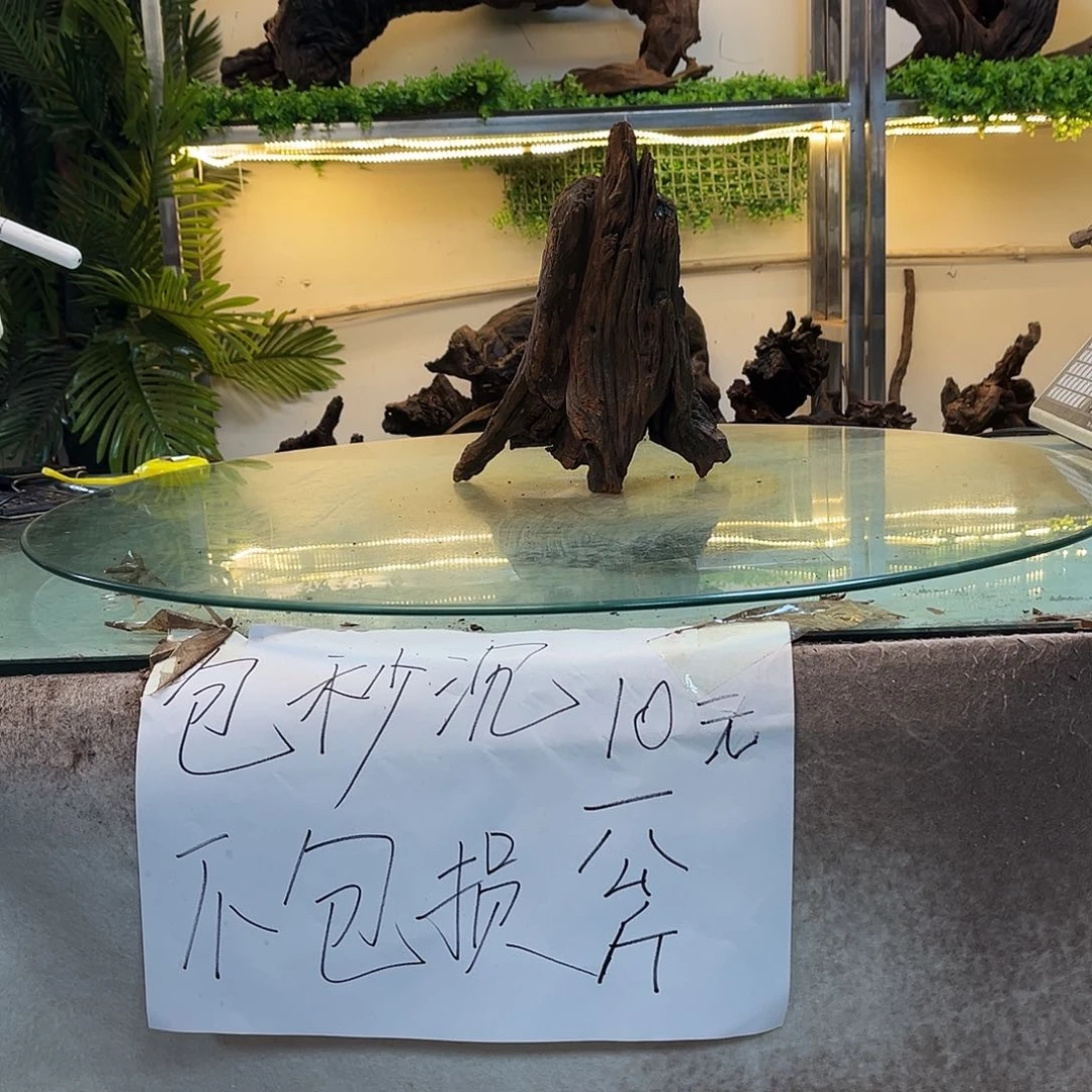 柚木沉木鱼缸造景