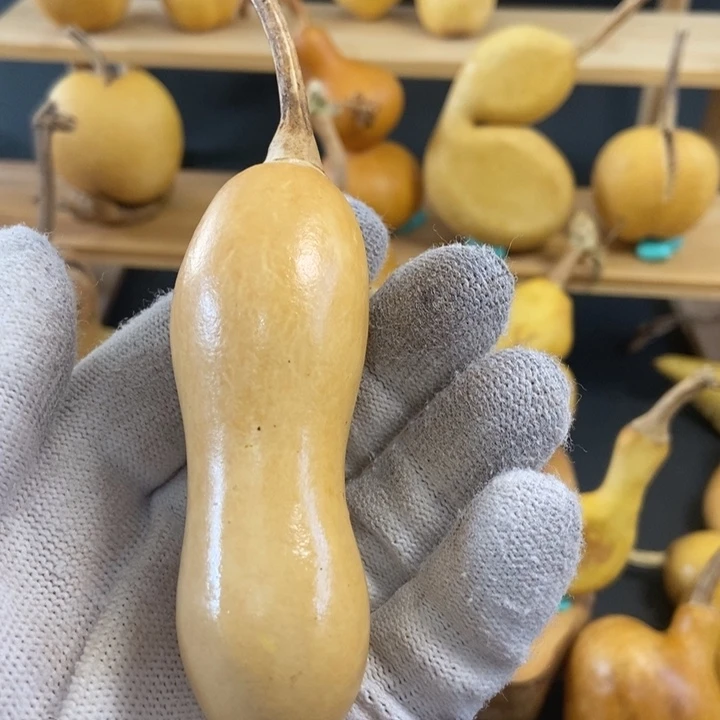 都***鸭葫芦葫芦真的