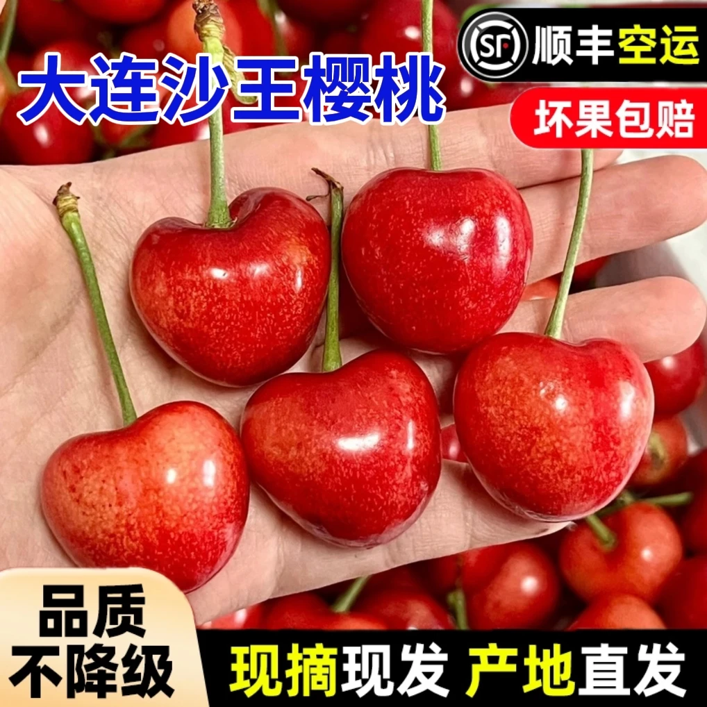 【露天头茬】大连沙王樱桃2/3/5斤装 顺丰空运 大连樱桃 沙蜜托