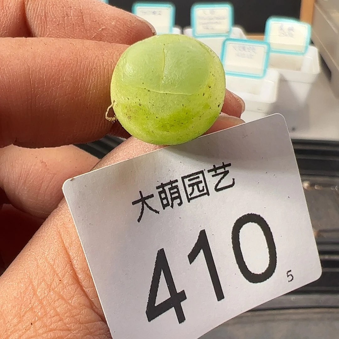 0000410 一物一拍……