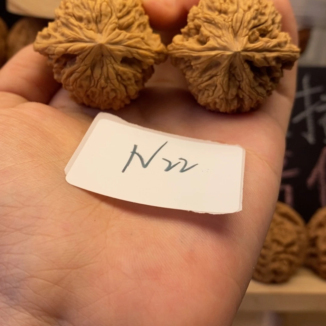 N22南疆石狮子头40白茬无修
