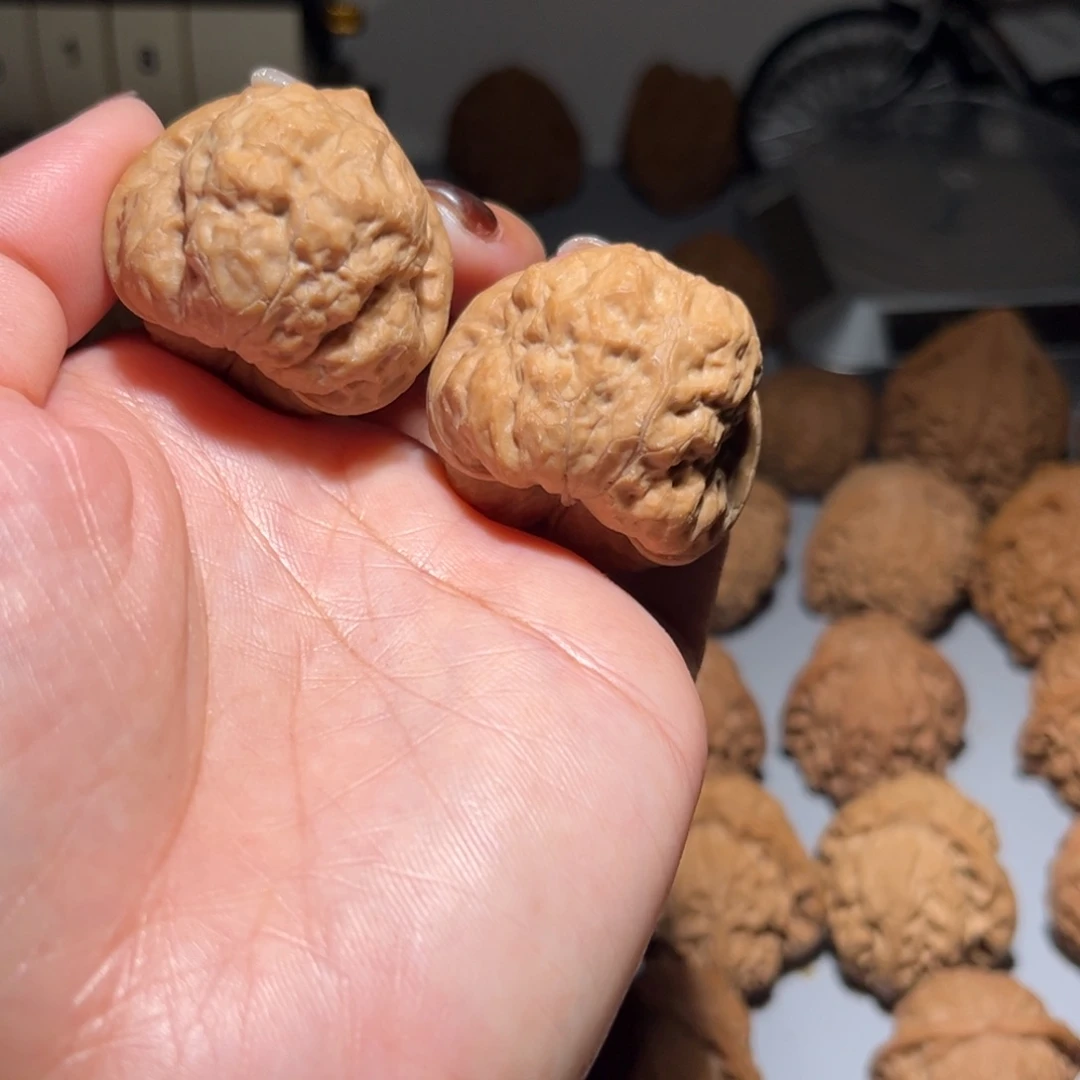 木质类古蟾37全品