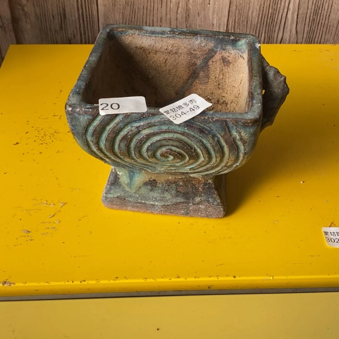 红陶用****249号多肉盆一个呀