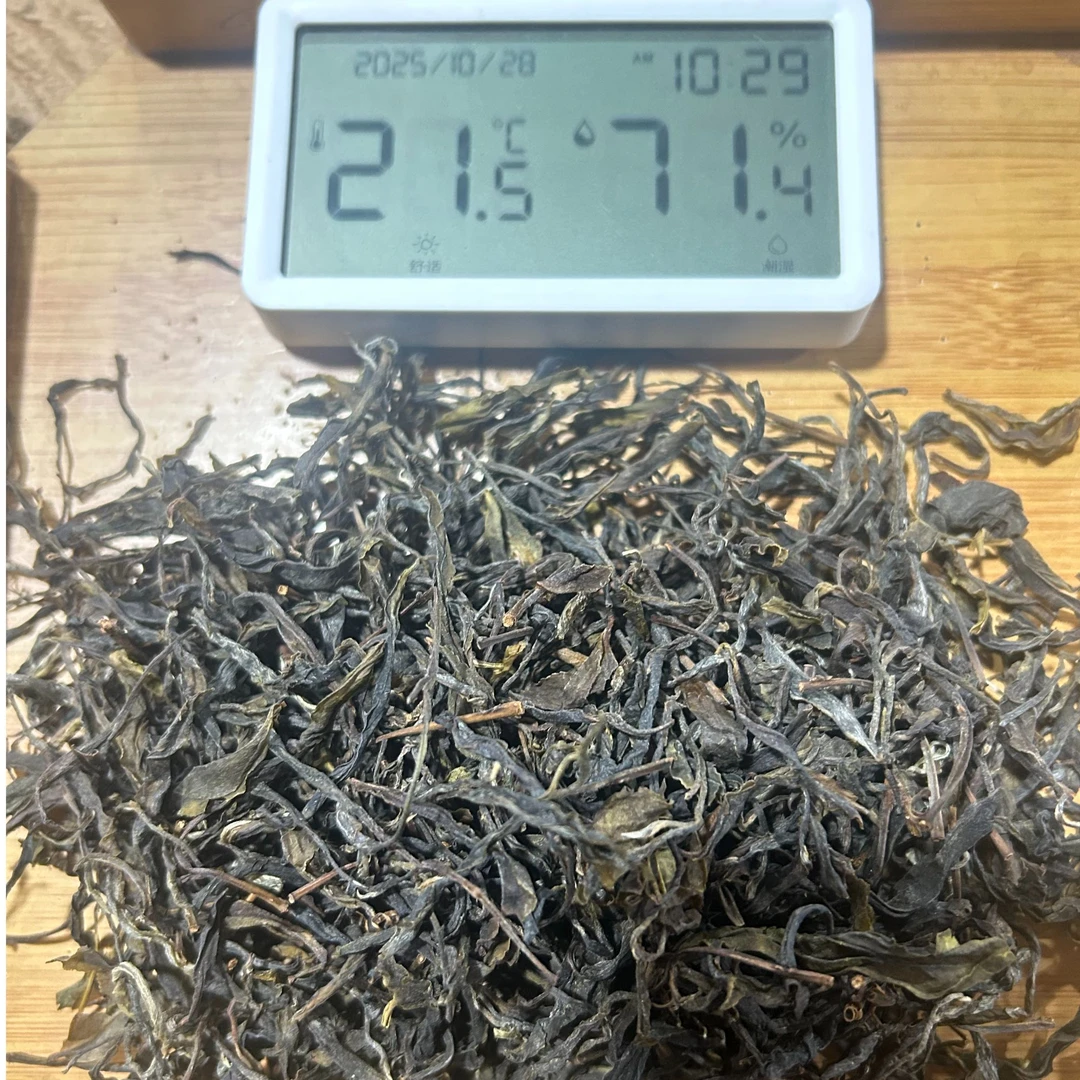 【57】15-1028//2025年白莺山散茶【生茶】