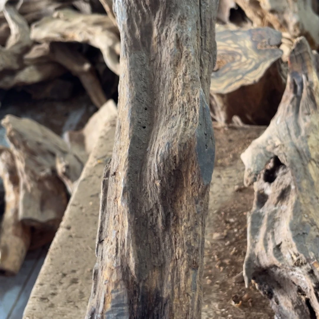 半***茶贡木木木木木木木木