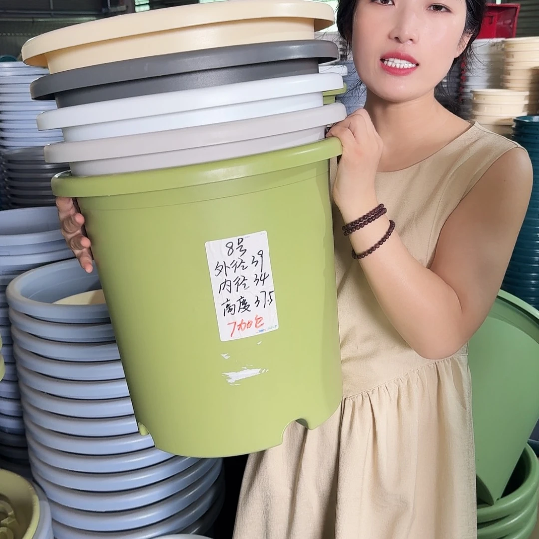 微瑕8#口径39无拖果绿5个