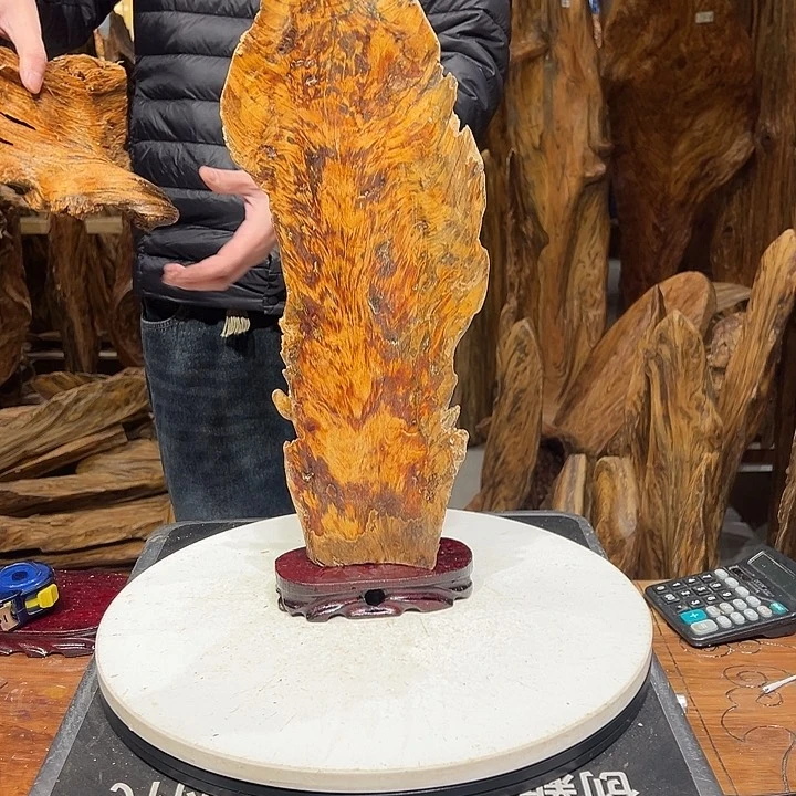 松木（琥珀木）与**争