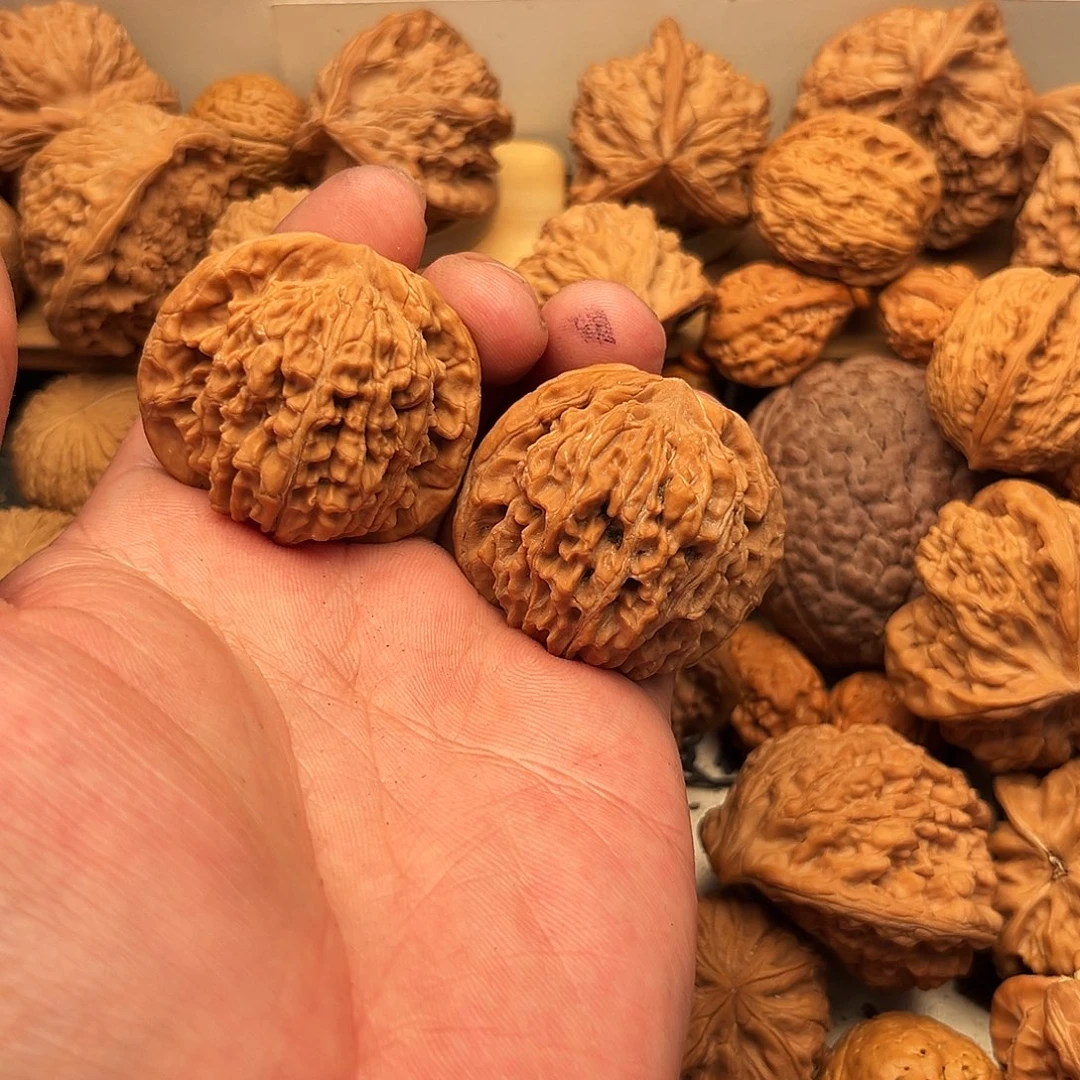 阿***v文玩核桃吊坠楼下